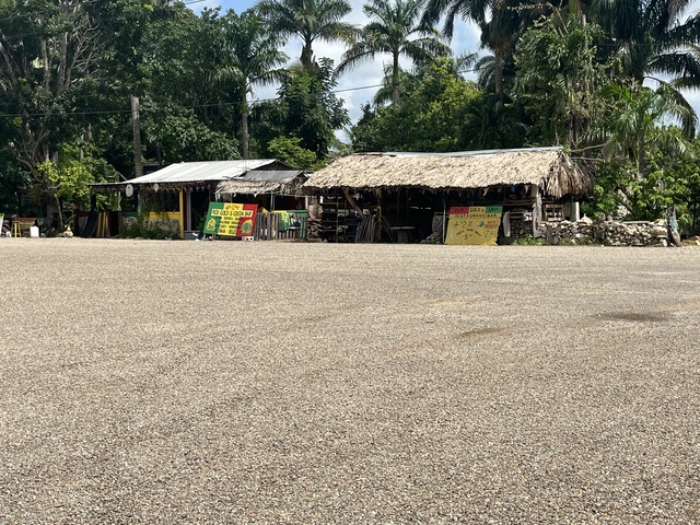 Belize City and Altun Ha Mayan Ruins Sightseeing Excursion with Lunch Was our favorite excursion on our cruise