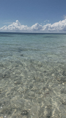 Belize Goff's Caye Island Beach Getaway and Snorkel Excursion Stunning Water!