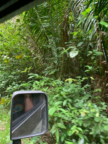 Belize Jungle Jeep Safari Adventure Excursion with Lunch Best possible, personal experience