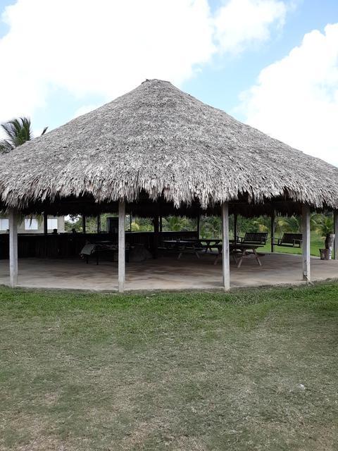 Belize Mayan Jeep and Altun Ha Ruins Excursion Totally awesome loved it