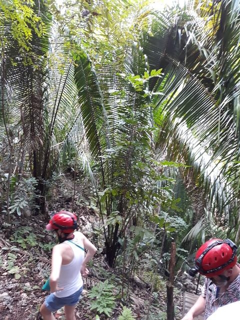 Belize Mayan Jeep and Altun Ha Ruins Excursion Totally awesome loved it