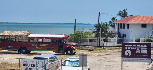 Belize Party Bus and Sightseeing Fun Excursion Absolutely best time