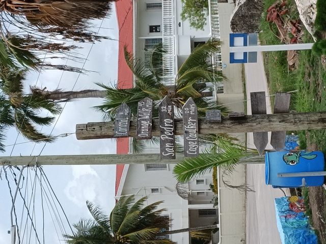 Belize Rum Factory, and Sightseeing Excursion Had An Amazing Time with Jefferson!