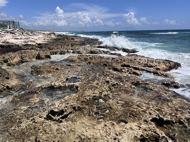 Best of Cozumel Island Highlights Excursion Best Cozumel Excursion Yet