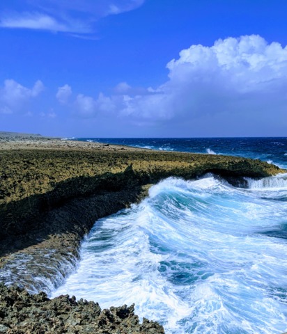 Breath of Curacao Safari Sightseeing Excursion  Beautiful sites, awful ride