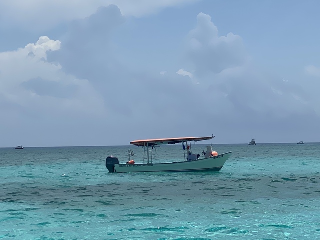 Cozumel Private First Lady Sportfishing Charter The perfect day!! 