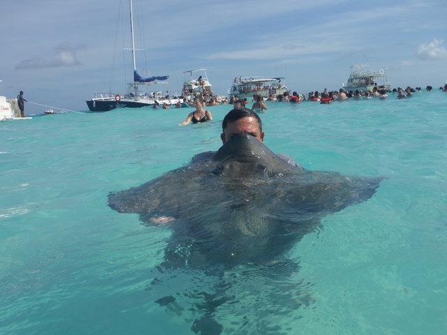 Grand Cayman Private Stingray City Catamaran Sail and Snorkel Excursion AMAZING day!!!