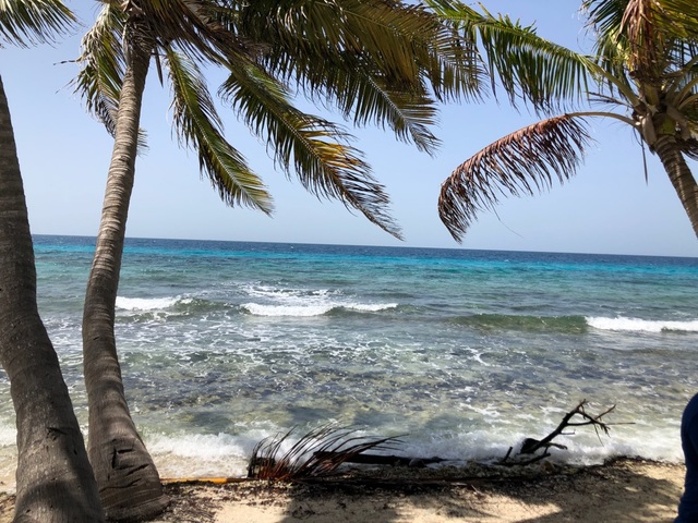 Harvest Caye Private Snorkel at Laughing Bird Caye Excursion amazing