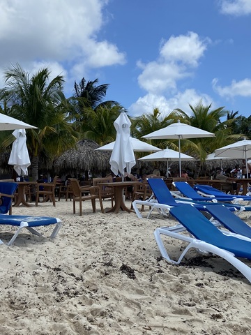 Mr. Sanchos Beach Club All-Inclusive Day Pass Cozumel Amazing 