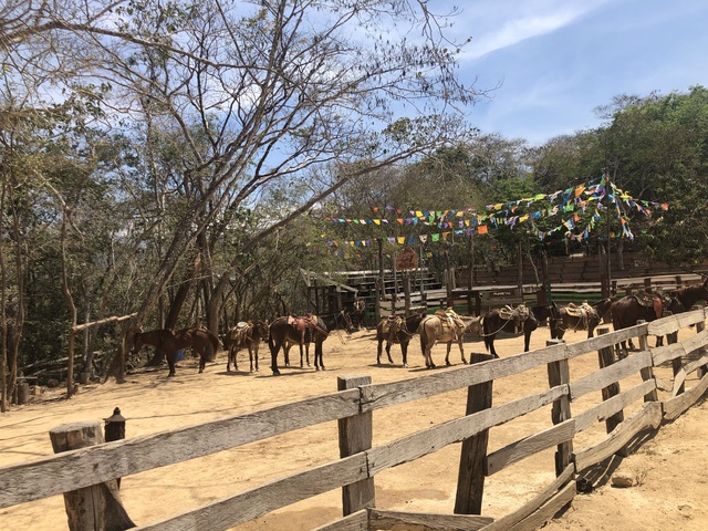 Puerto Vallarta Zipline and ATV Combo Excursion This was awesome!!