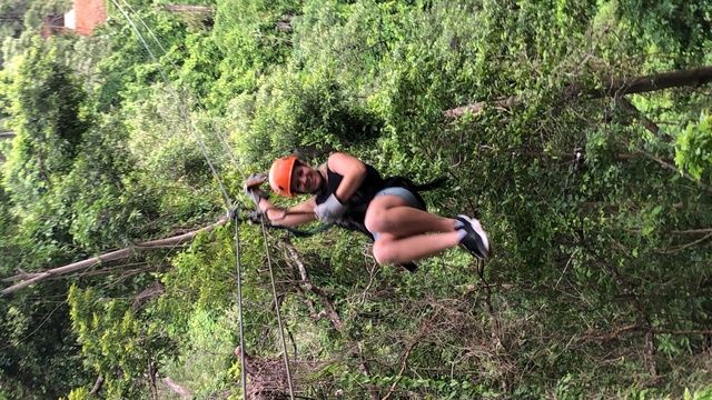 Roatan Jungle Zip Line Adventure Excursion Lots of fun! 