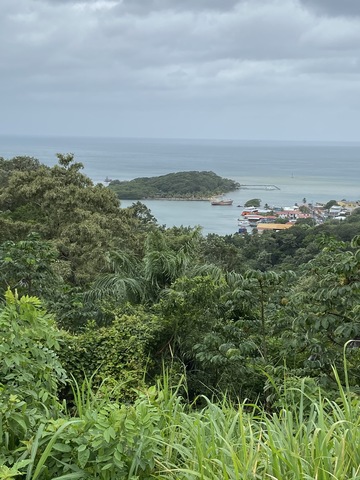 Roatan Private East West, Best Of Island Excursion Fantastic despite the rain!