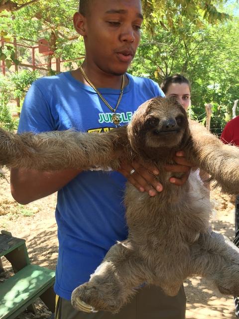 Roatan Zip Line, Monkey Park, and Beach Break Excursion Had fun zipping like monkeys in the trees