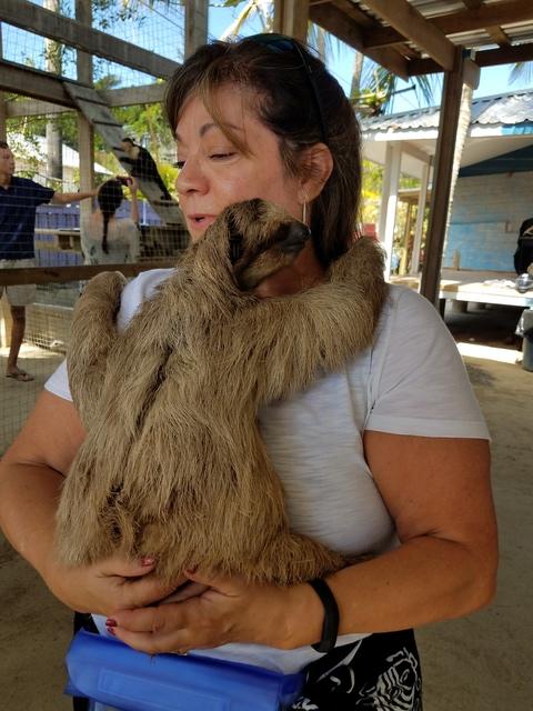 Roatan Zipline and Little French Key Beach Break Excursion Beautiful Island!