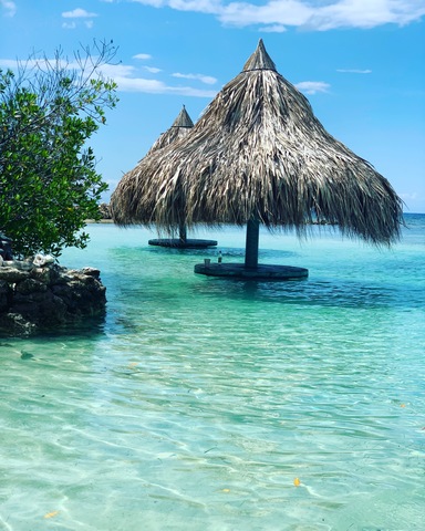 Roatan Zipline and Little French Key Beach Break Excursion Absolutely loved!