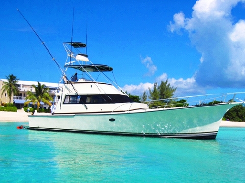 Grand Cayman  Grand Cayman (George Town) snorkeling Tour