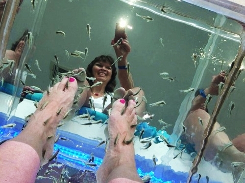 Cozumel Mr. Sanchos fish pedicure Cruise Excursion Tickets