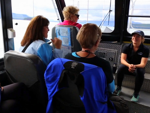 Juneau Alaska whale watching Trip Prices