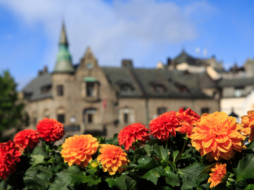 Alesund Parken Kulturhus Cruise Excursion Reservations