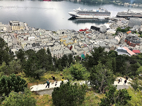 Alesund Skodje Shore Excursion Reviews