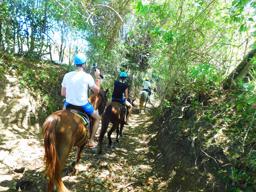 Amber Cove Puerto Plata Sightseeing and Horseback Riding Excursion