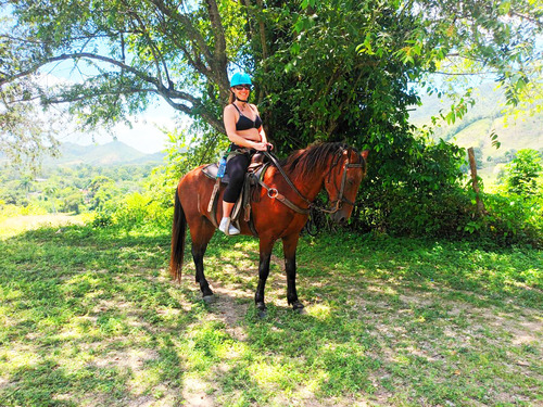 Amber Cove Puerto Plata Sightseeing and Horseback Riding Excursion