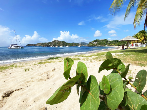 Antigua  St. John's Shipwreck Trip Reservations