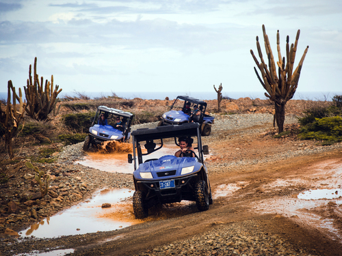 Oranjestad Utility Vehicle UTV Cruise Excursion Prices