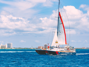 Aruba Catamaran Afternoon Delight Sailing and Snorkeling Excursion