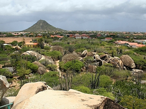 Aruba Oranjestad Aloe Vera Shore Excursion Cost