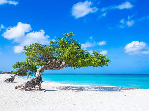 Aruba Oranjestad California Lighthouse Tour Booking