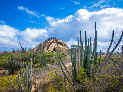 Aruba Oranjestad Natural Bridge Tour Cost