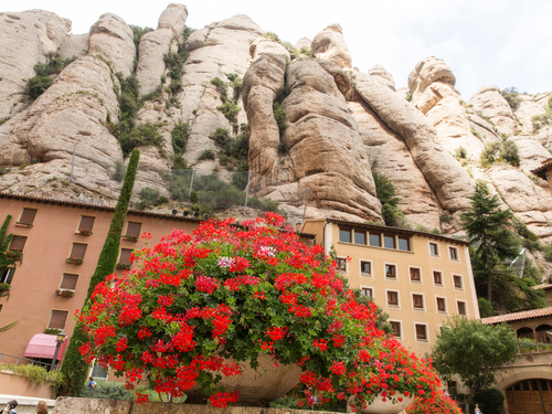 Barcelona Spain Montserrat Cruise Excursion Reviews