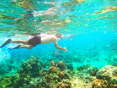 Hilo beach snorkel Shore Excursion Reservations