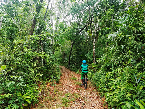 Belize Belize City Mountain Bike Cultural Shore Excursion Reservations