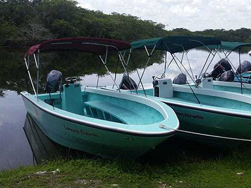 Belize River Safari Sightseeing Tour Tickets