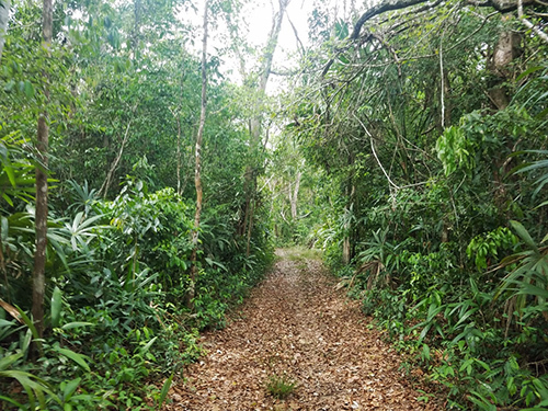 Belize Belize City Belizean Lunch Adventure Tour Reviews