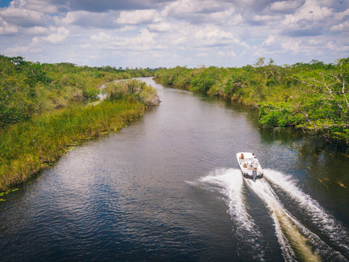 Belize City New River Sightseeing Shore Excursion Cost