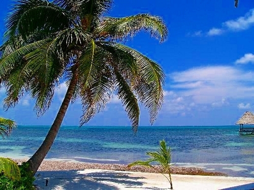 Belize Goff's Caye Island Beach Getaway and Snorkel Excursion