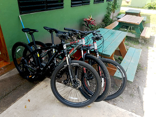 Belize Belize City Belizean Lunch Biking Trip Prices