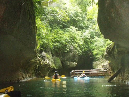 Belize Belize City Wildlife Zip Line Shore Excursion Reservations