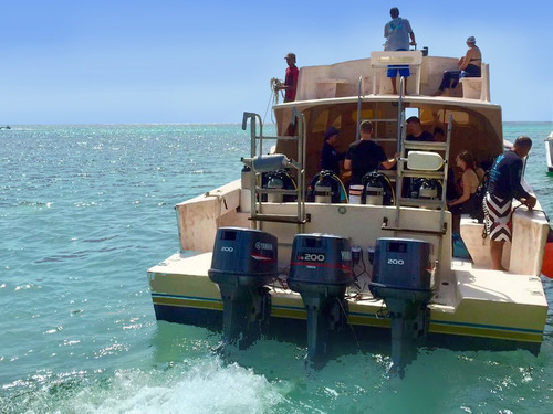 Belize 1 tank certified dive Tour Reviews