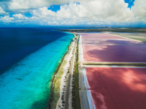 Bonaire Leeward Antilles Slagbaai Park Shore Excursion Cost