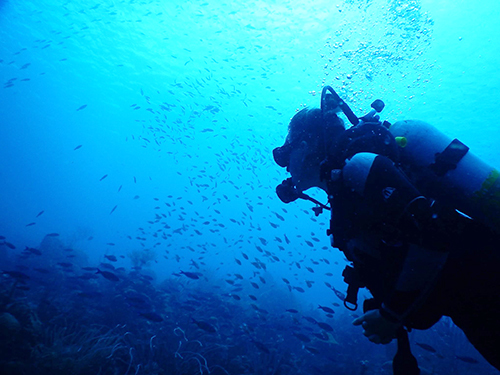 Bonaire Leeward Antilles 2 Tank Cruise Excursion Reservations