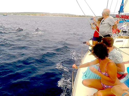 Bonaire Private Sailing Trip Reviews