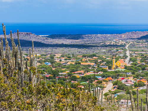 Bonaire Salt Flats Sightseeing Cruise Excursion Reviews