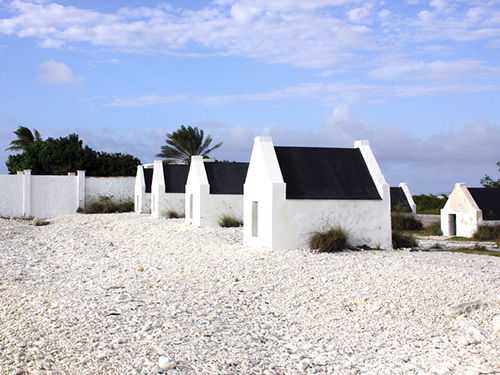 Bonaire Lighthouse Sightseeing Shore Excursion Cost