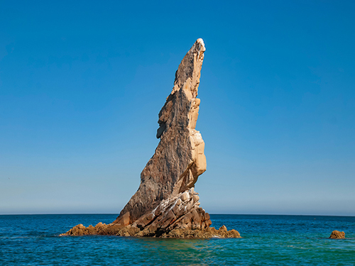 Cabo San Lucas Friends Whale Watching Cruise Excursion Reviews