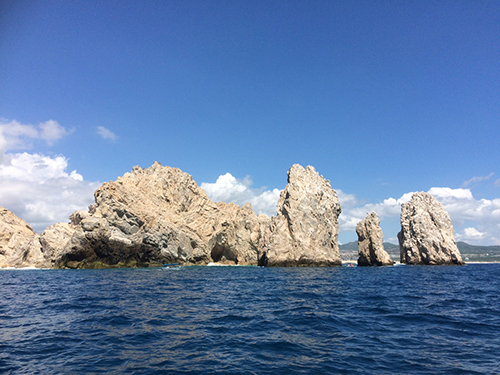 Cabo San Lucas Wild Life Sightseeing Excursion Booking