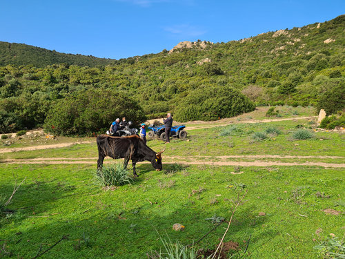 Cagliari Secluded Beach Sightseeing Tour Reservations